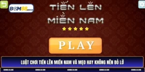 luật chơi tiến lên miền Nam