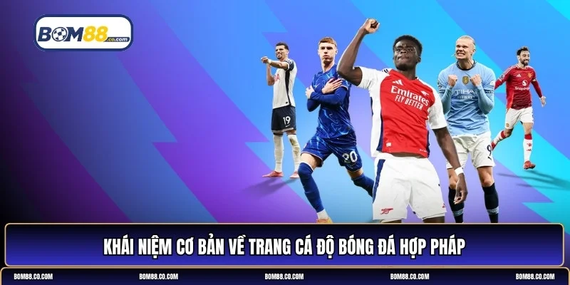 trang cá độ bóng đá hợp pháp