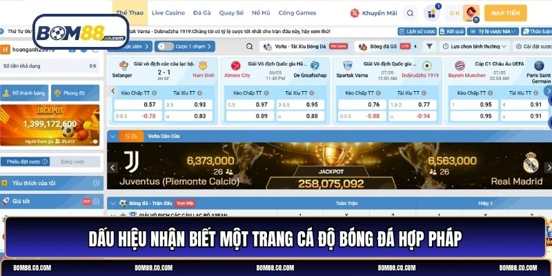 trang cá độ bóng đá hợp pháp